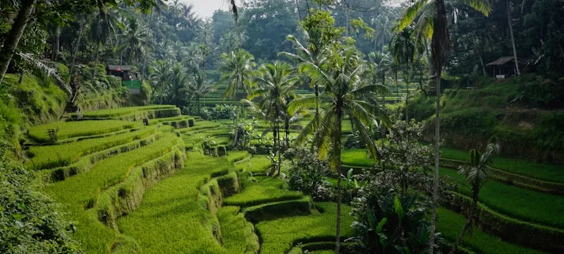 Fakta Sejarah Indonesia yang Sering Dilupakan