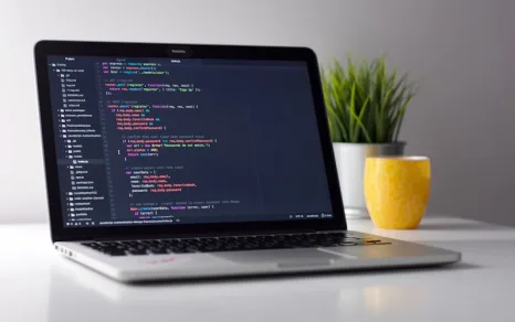 Fullstack Developer