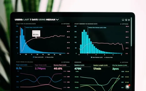 Data Analyst